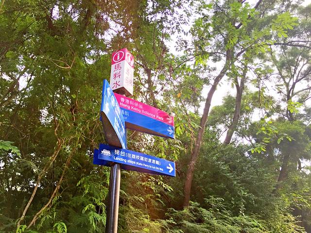 马料水公众码头