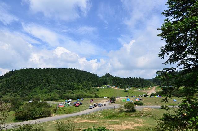仙女山国家森林公园