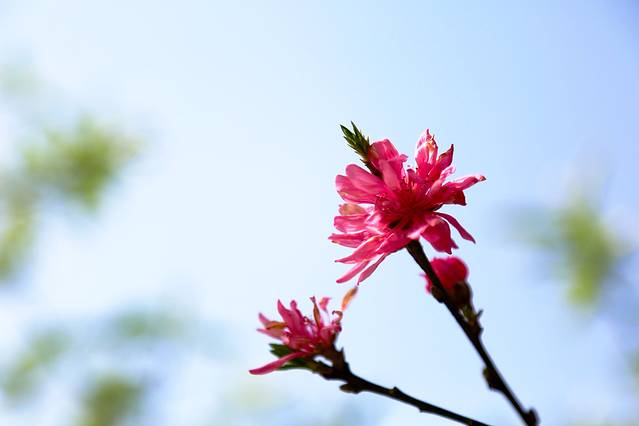 西陵峡世外桃源