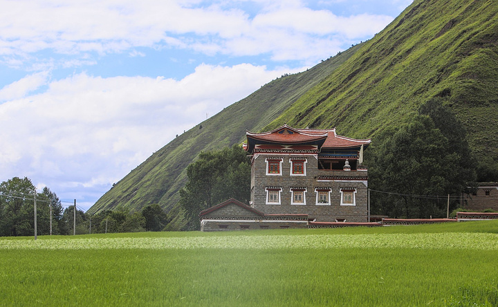 在新都桥一带是木雅藏族的聚居地木雅民居大多采用石料建筑并标配宽敞