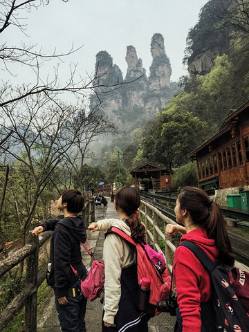 "天子山景区天子山是张家界最早开发出来的景点之一，天子山有着天下峰林“扩大的盆景，缩小的仙境”之称_张家界国家森林公园"的评论图片