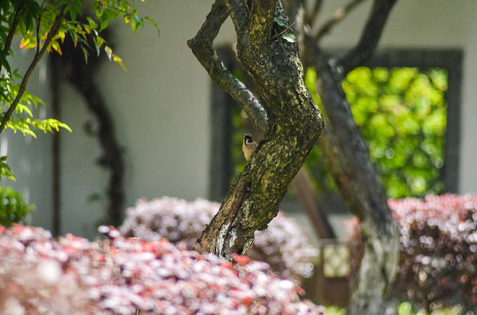 苏浙皖gdp_2019...一出地铁看最高的建筑就是它 晚上登上他看夜景超级美 能看到整个南京城??地铁1号线新街口站下 紫峰大厦观(3)