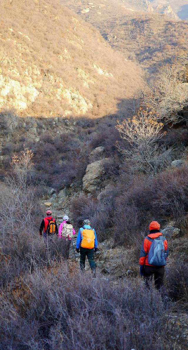 霞云岭国家森林公园