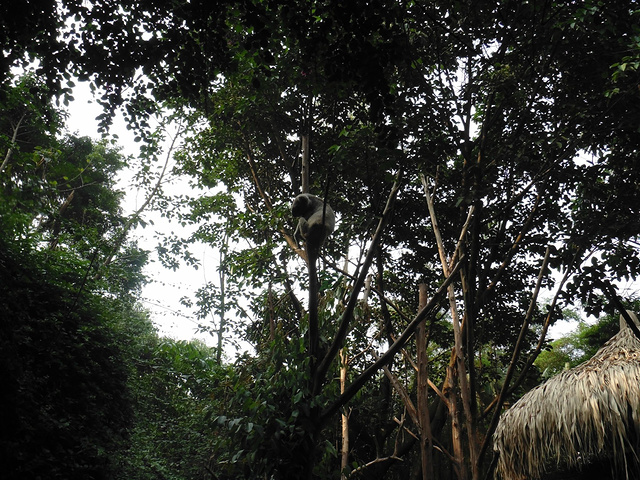 2017动物园不能带食物进去,所以傍边售票点有