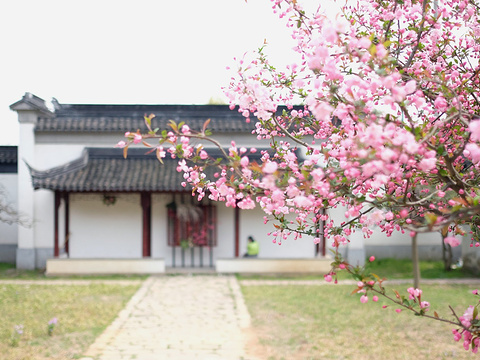 苏州上方山国家森林公园旅游景点图片