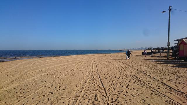 猫本悉尼双城记,外加绝美大洋路。