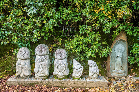 岚山