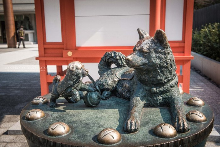 2018非常干净,重建得很好。以前的寺庙顶涂混