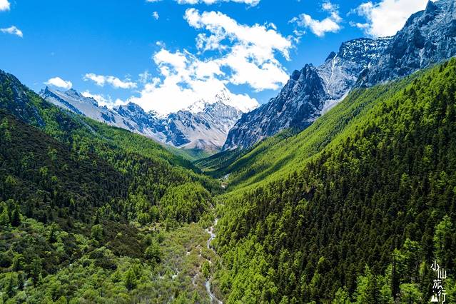 稻城亚丁-冲古草甸
