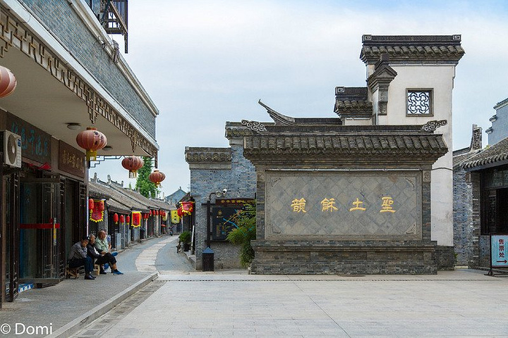 初次相识安丰古街,虽然曾经听过一些这里的文化历史,可是当密密麻麻的