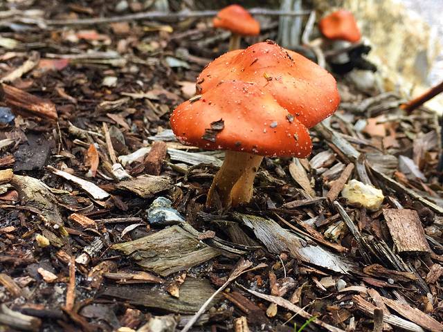 威尔逊岬国家公园