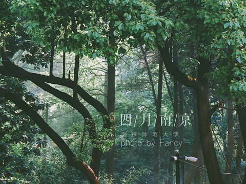 南京师范大学旅游景点图片