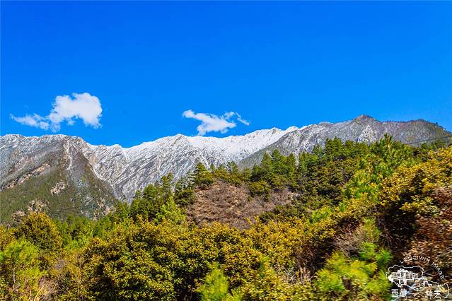 雅鲁藏布大峡谷