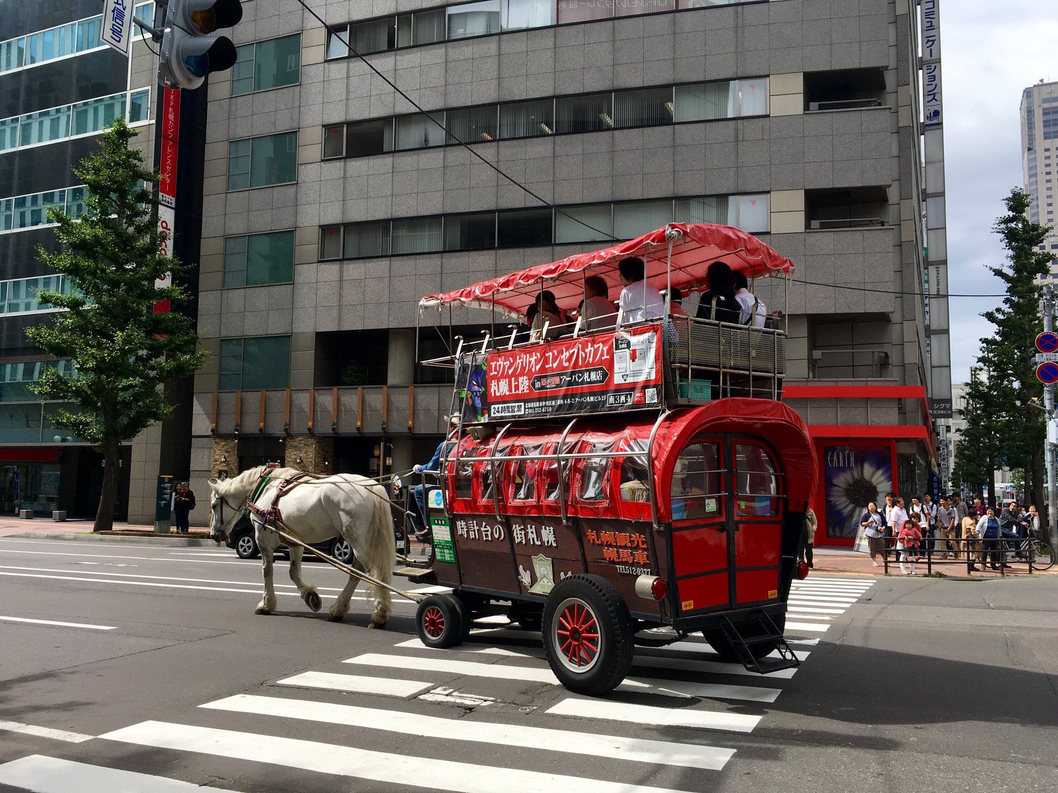 2022北海道厅旧本厅舍游玩攻略,马车欸～这地方真洋气哈哈哈.