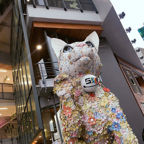 2018.图文并茂,泰国当地华侨@超级泰拳粉丝 带