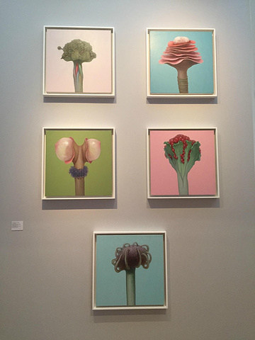 2017苏州博物馆很多人参观,提前在官网在预约