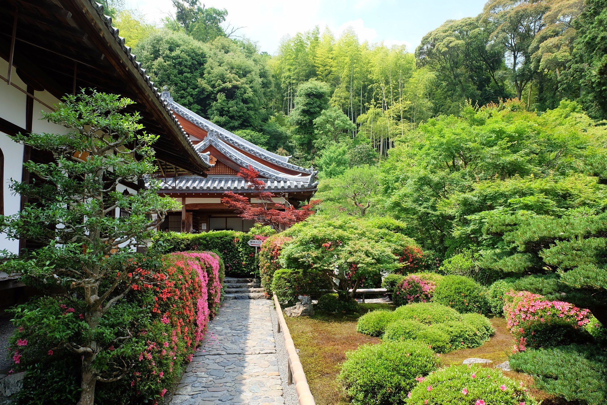第二站景点铃虫寺华严寺简介华严寺是京都本地人会去许愿的寺院主管