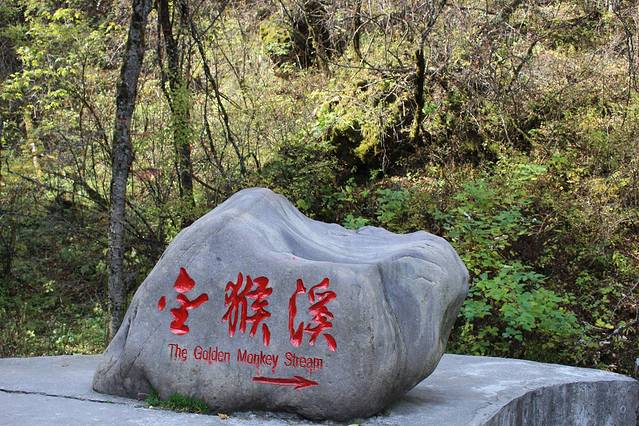 金猴溪