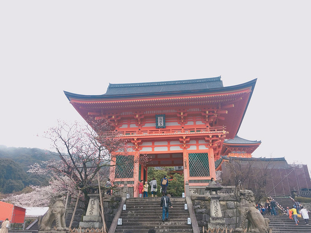 "清水寺最著名的清水舞台正在维修，于是清水寺在拥挤的人流中，匆匆而过_清水寺"的评论图片