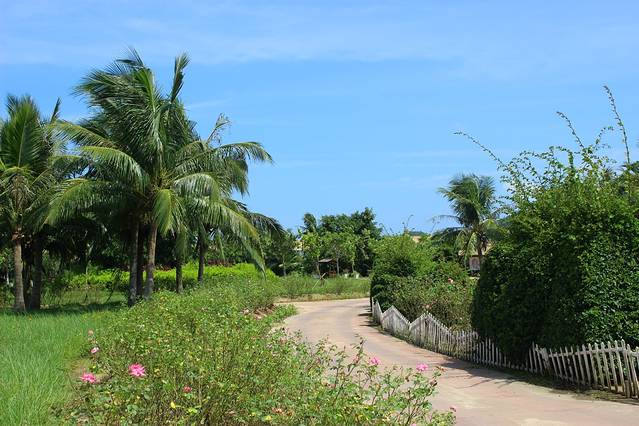 三亚亚龙湾国际玫瑰谷