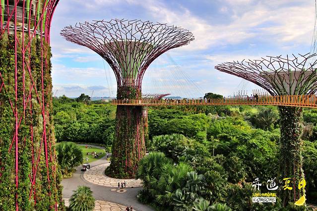 新加坡滨海湾花园
