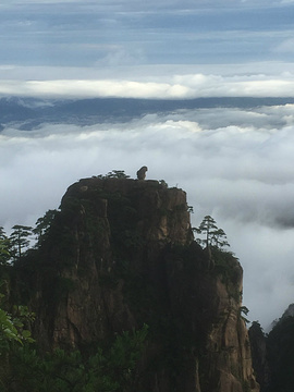 猴子观海旅游景点攻略图