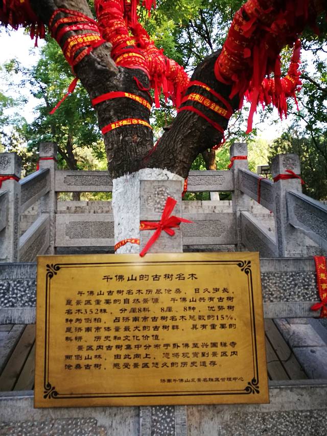 千佛山风景名胜区-观音园