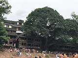 眉山旅游景点攻略图片