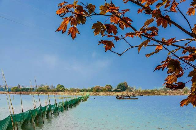 武汉后官湖国家湿地公园