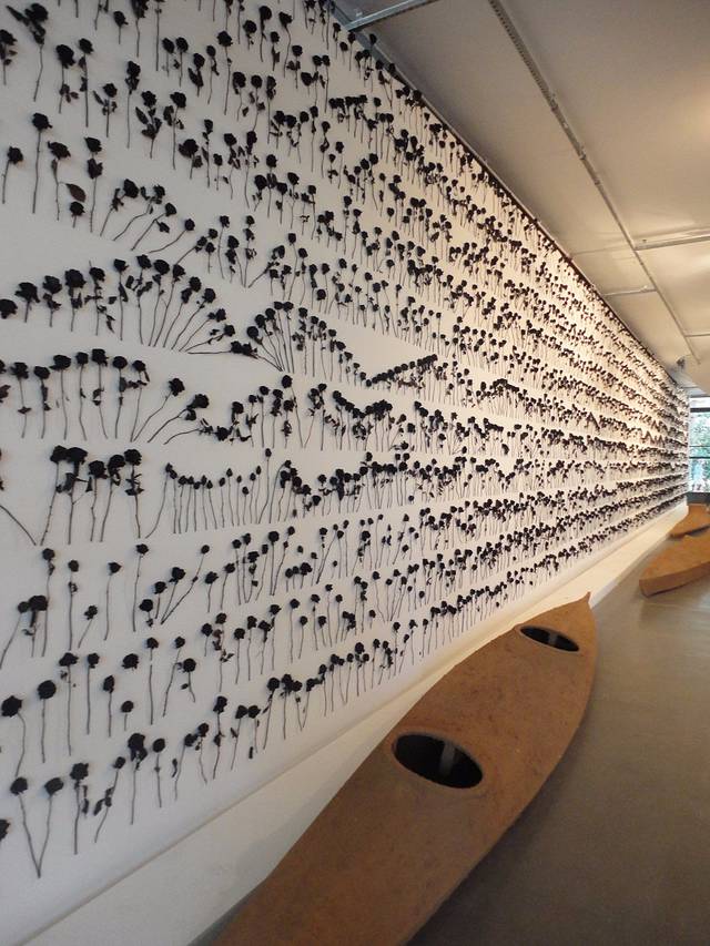 伊比拉布埃拉公园