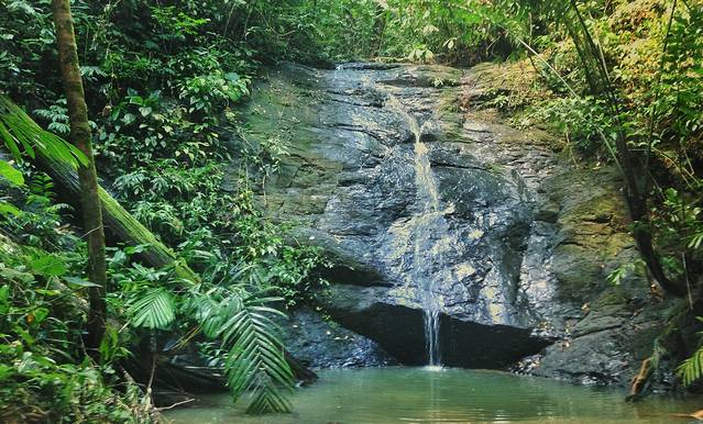 乌鲁淡布隆国家公园