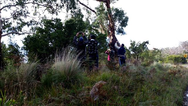 大奥特威国家公园
