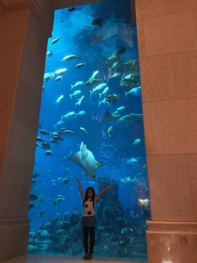 亚特兰蒂斯酒店藏红花餐厅