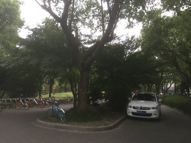 渤公岛生态公园