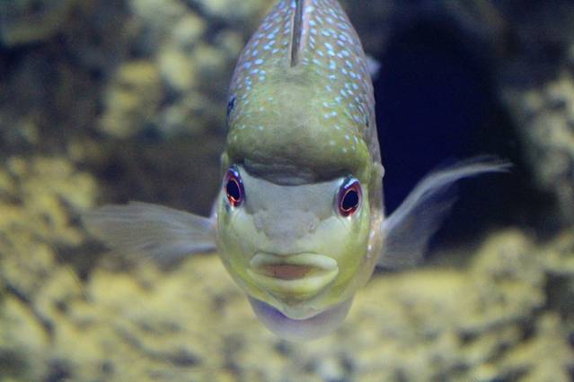 重庆欢乐海底世界