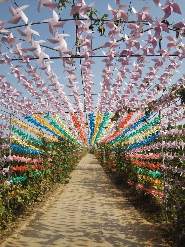 凤凰山生态植物园