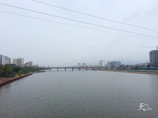 老字号·三十一号面皮