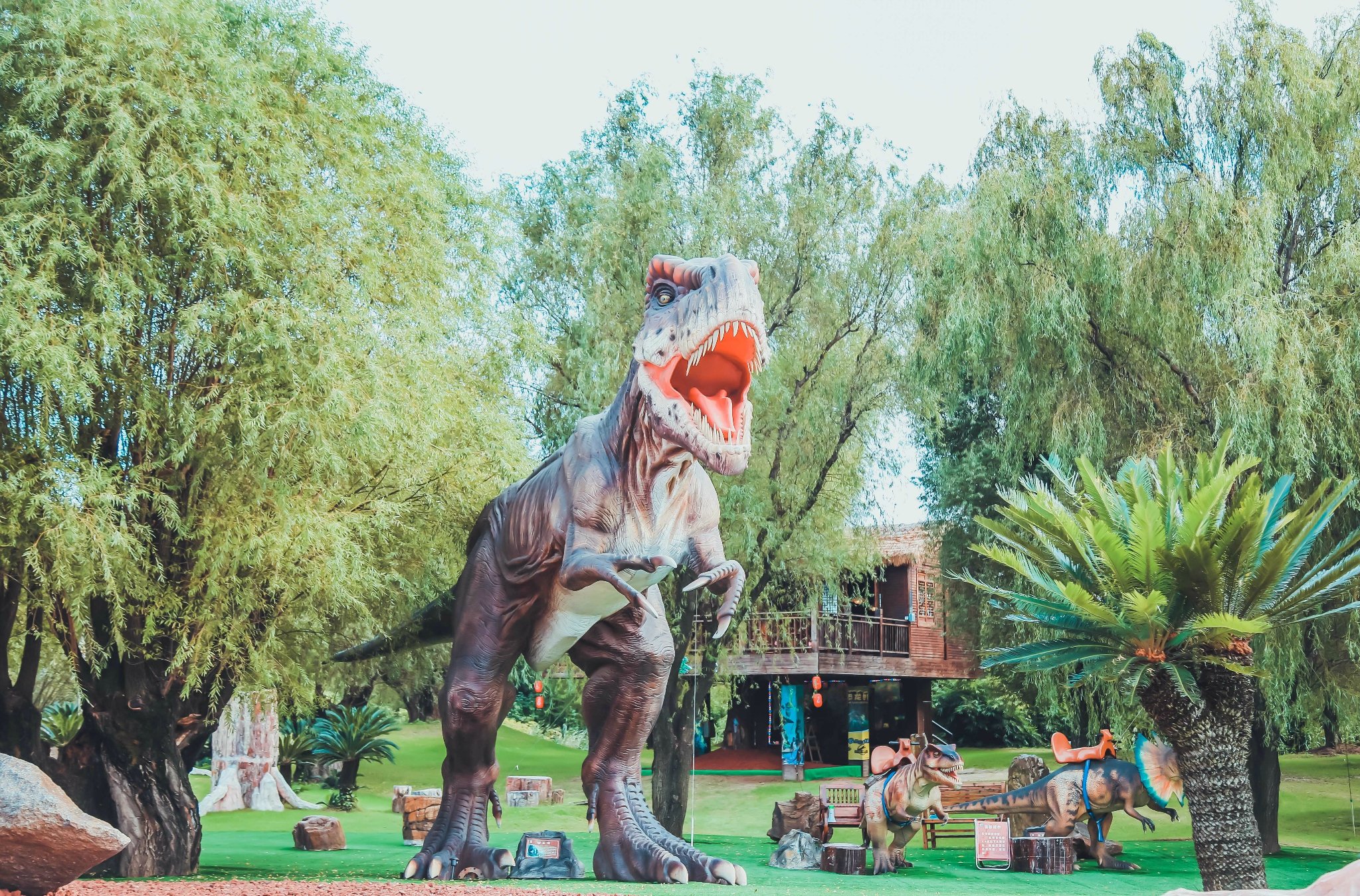 恐龙园,最有意思的是,每只恐龙前都有一个感应器,只要靠近它感应到