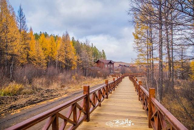 敖鲁古雅使鹿部落景区