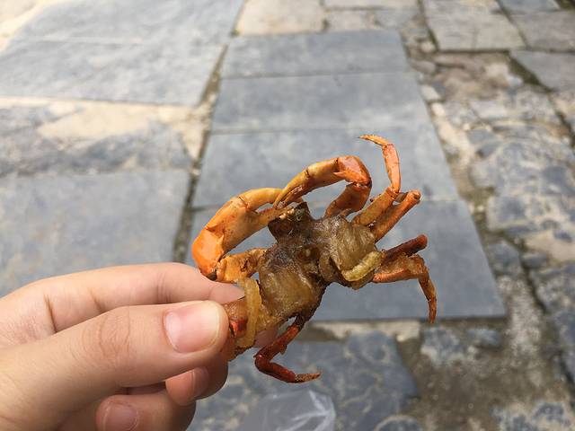 桂林市榕杉湖景区