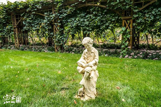 张裕爱斐堡酒庄