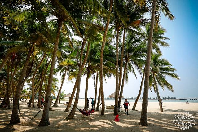 东郊椰林风景区