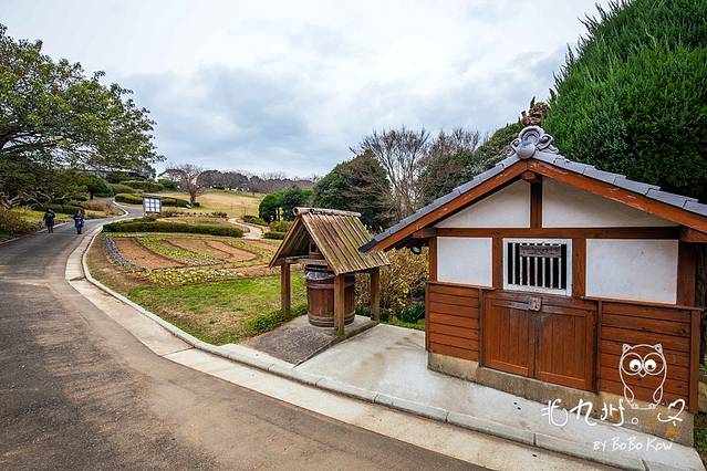能古岛露营村、海水浴场
