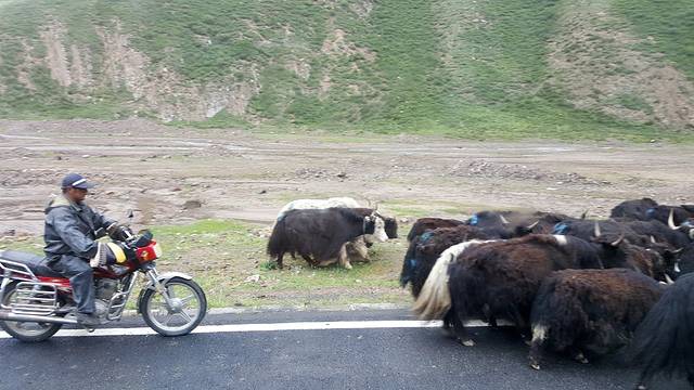峨堡古城遗址公园