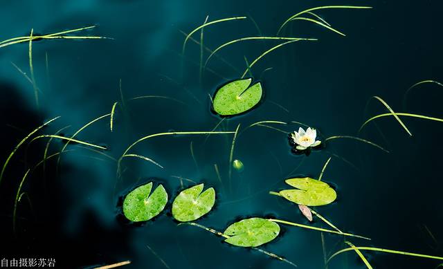 伊克萨玛国家森林公园