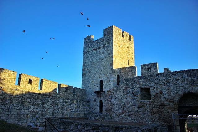 贝尔格莱德要塞