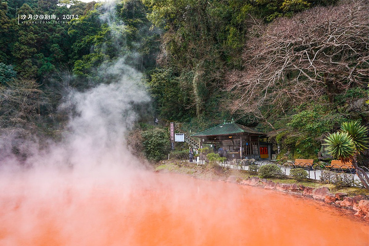 游:血池地狱 还有这边买的柚子胡椒和柚子酱油都很不错哦~血池地狱温度78度,是日本最古老的天然地狱