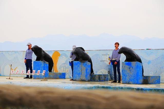 宁夏湿地博物馆