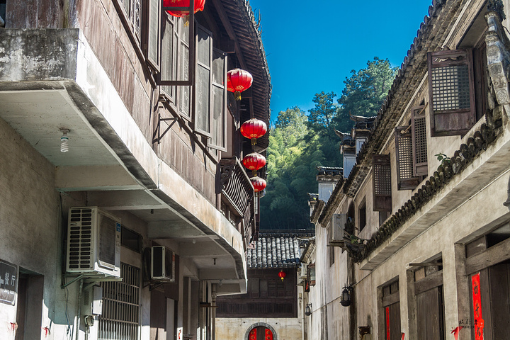 定定地看着水墨般的绩溪,从一幢屋脊,一株古树,一只灯笼,到一条老街