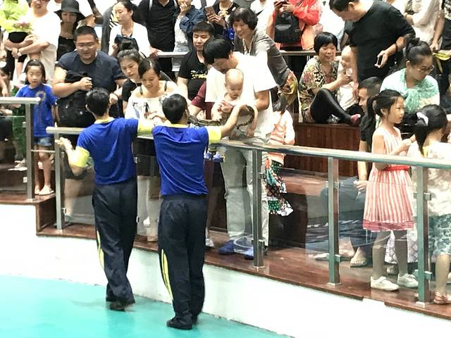 泰国红十字会萨瓦巴女王纪念研究所蛇园